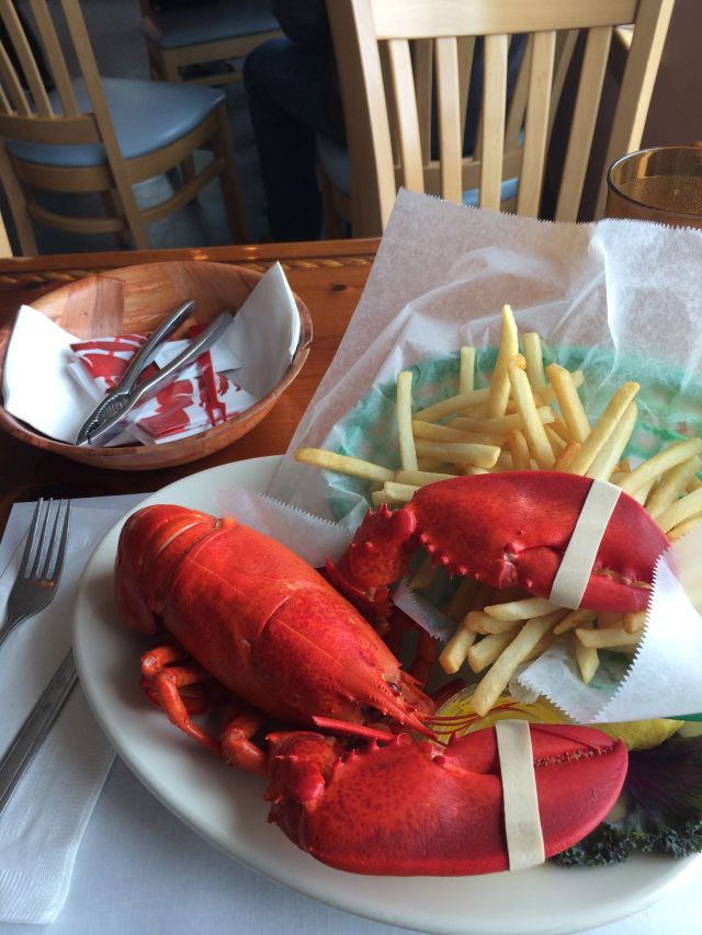 8 - lobster 1