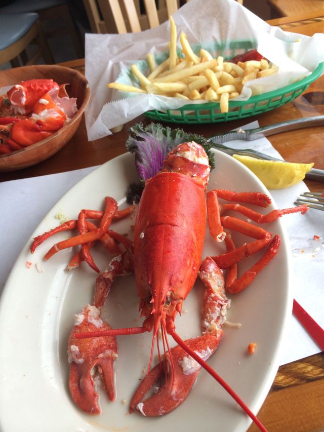 9 - Lobster 2